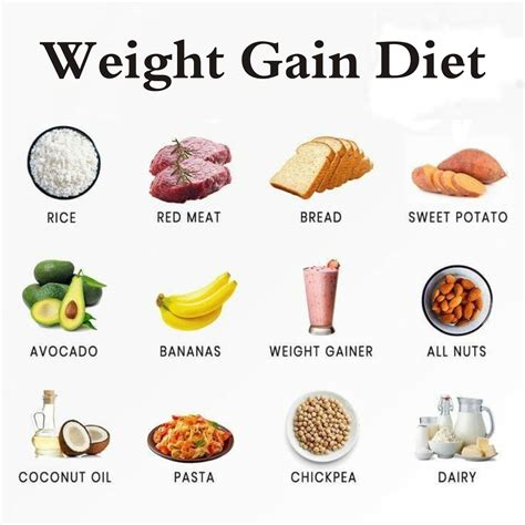 Fuel Your Weight Gain Journey with Nutritious Healthy Foods